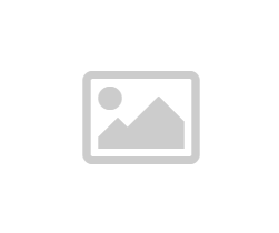 重新定义游戏体验：用户案例分享凯时国际的成功之道