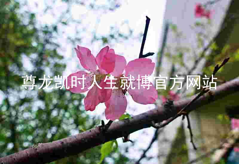 尊龙凯时人生就博官方网站