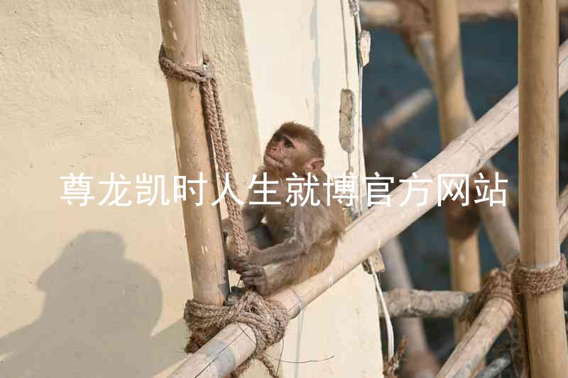 尊龙凯时人生就博官方网站